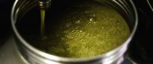 Olio - Q.Fulceri