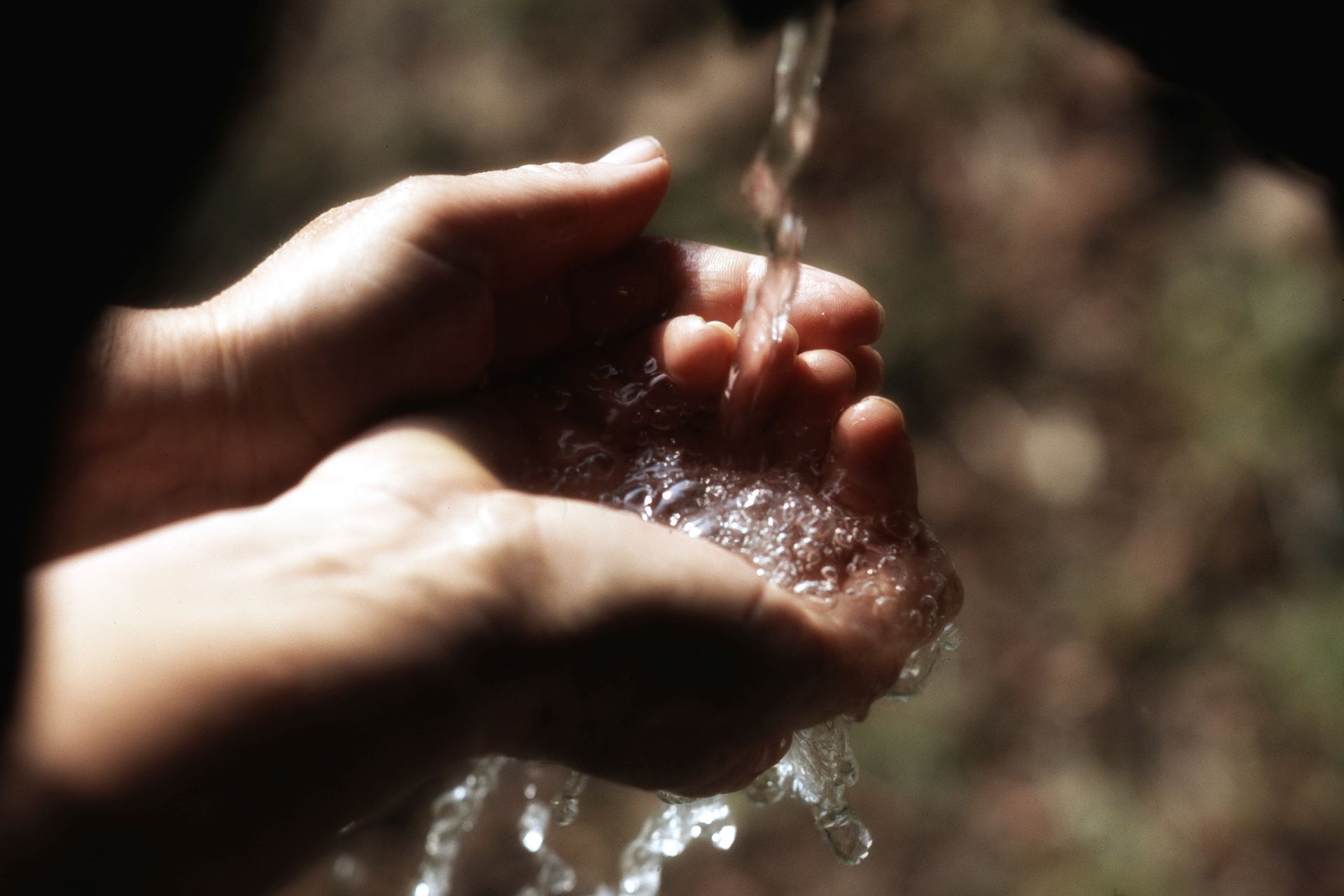 acqua di fonte