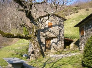 Alpe di Pruno