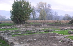 Campagna Padule Lucca