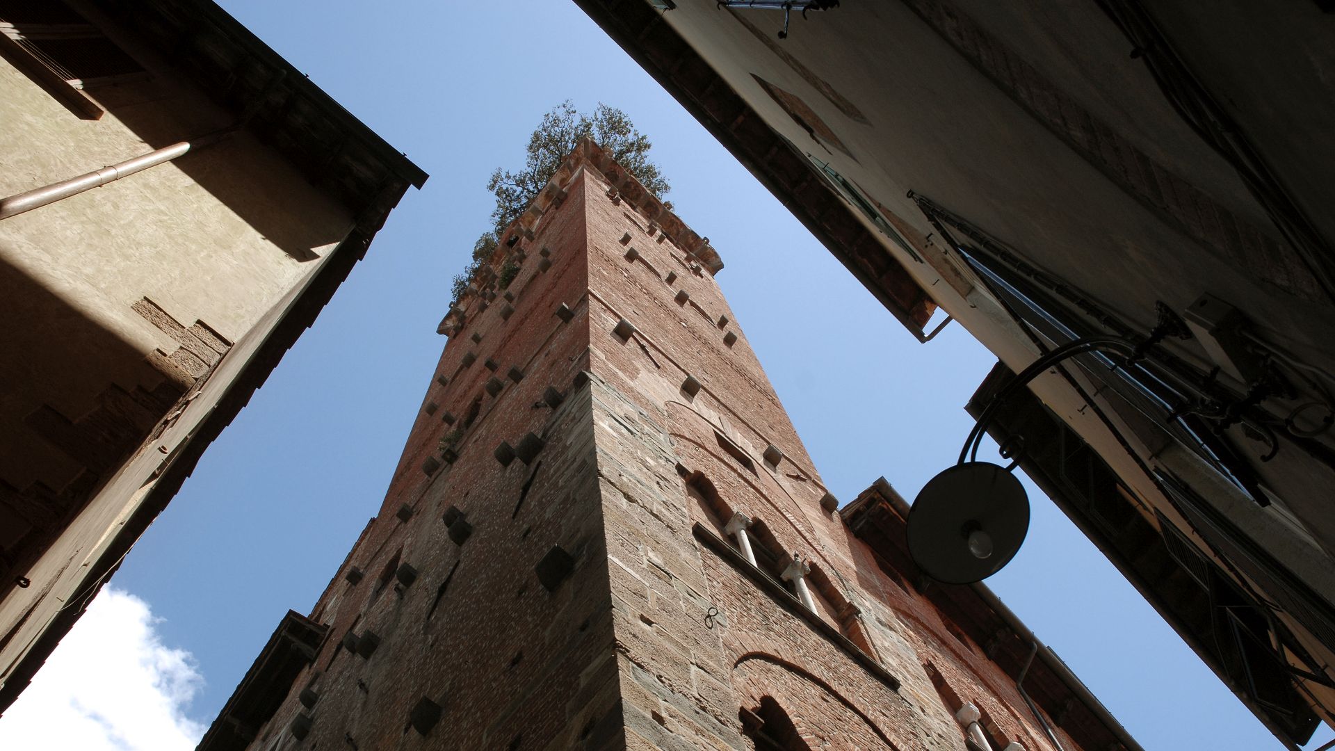 torre guinigi di lucca