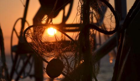 reti sulle reti dei pescatori di Viareggio